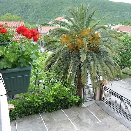 Royal Budva