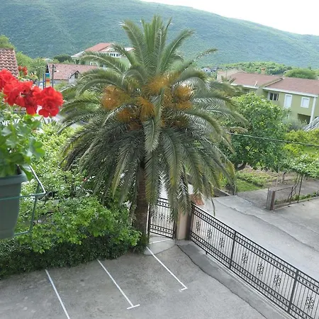 Royal Apartamento *